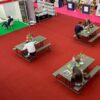 Folding Picnic Bench - Image 4